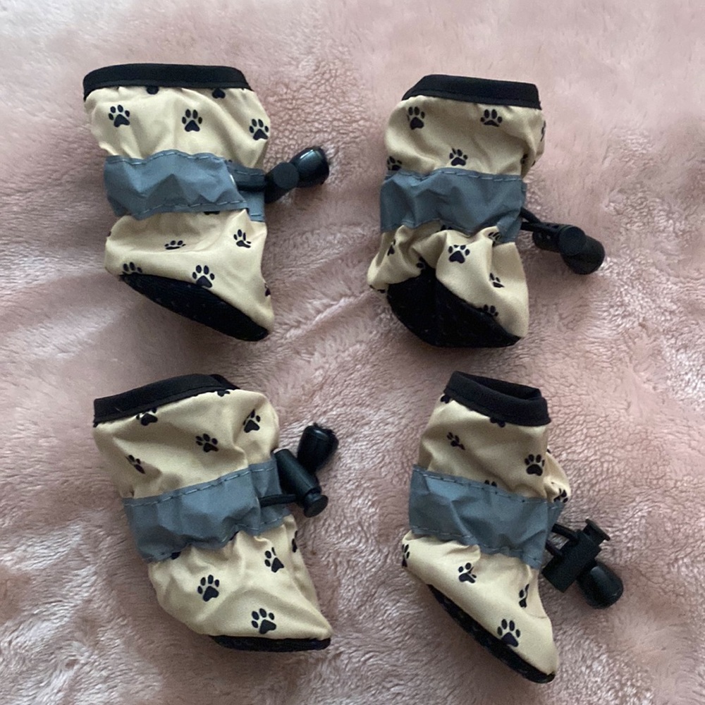 Pet Shoes